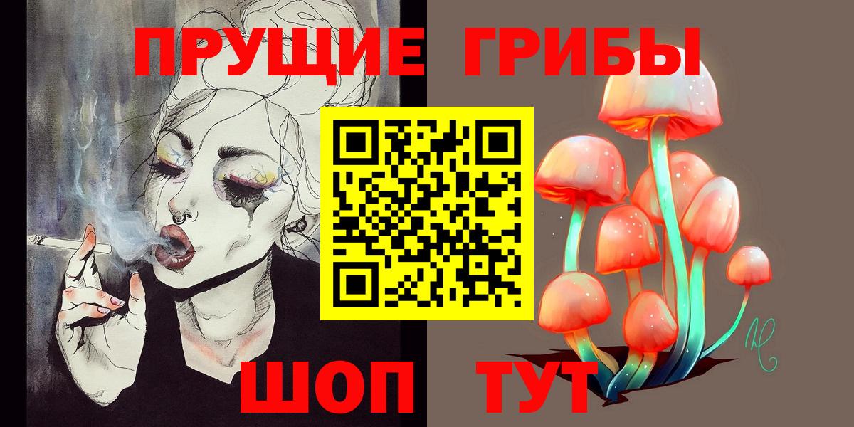 Галлюциногенные грибы Cubensis Белово