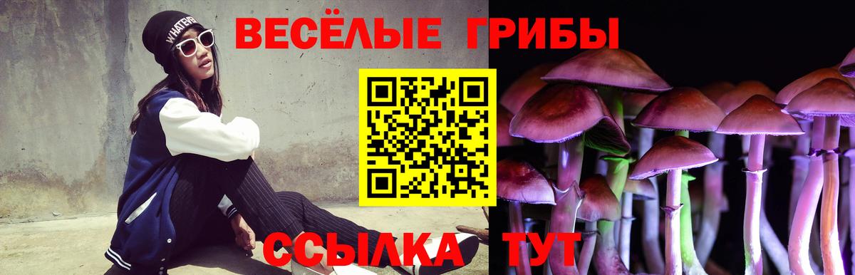 Белово  Псилоцибиновые грибы прущие грибы  Вход с VPN  Псилоцибиновые грибы GOLDEN TEACHER 